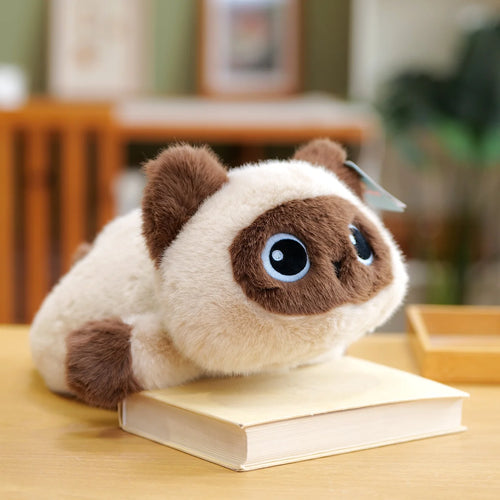 25cm Black Cat Siamese Kitten Plush Toys Cartoon Lifelike Kitten Dolls Animal Artificial Touch Doll Kids Girls Birthday Gifts